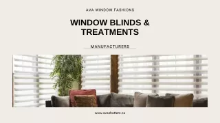 ava window fashions