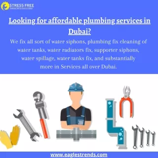 Looking for affordable plumbing services in Dubai?