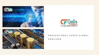 Forex Trading Signals Provider