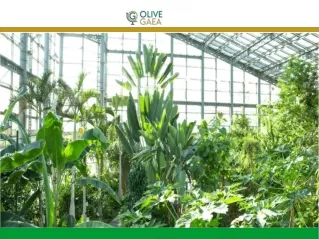 Climate friendly products