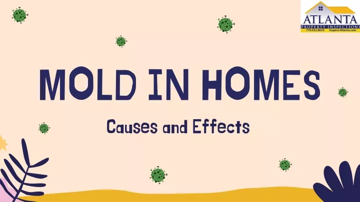 mold in homes causes and effects