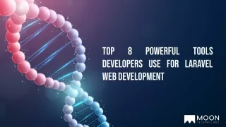 top developers use for laravel web development