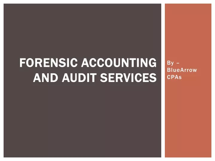 forensic accounting and audit services