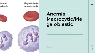 Anemia Macrocytic Megaloblastic