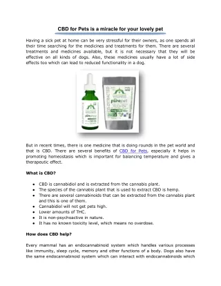 CBD for Pets is a miracle for your lovely pet