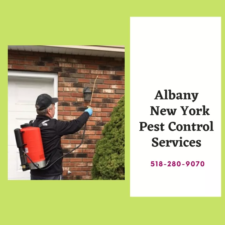 albany new york pest control services