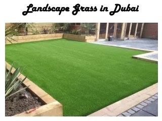 landscape grass in dubai