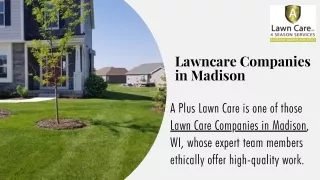 Edging Services Sun Prairie | A  Lawn Care