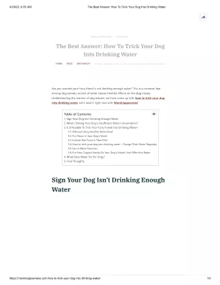The Best Answer_ How To Trick Your Dog Into Drinking Water