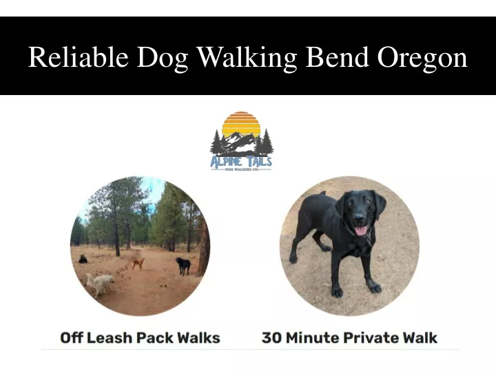 reliable dog walking bend oregon