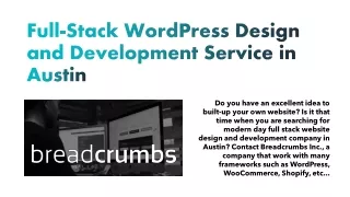 full stack wordpress design and development service in austin