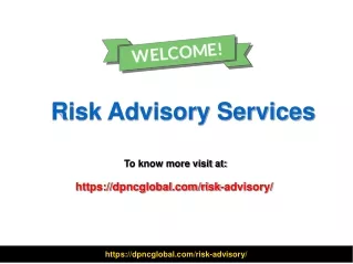 risk advisory services