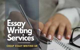 Essay Writing Services