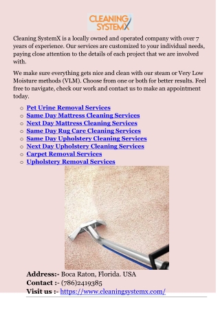 Next Day Upholstery Cleaning Services