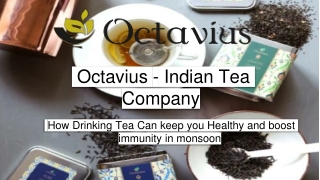 Octavius: Premium Tea | Best Quality Herbal Tea Online in India