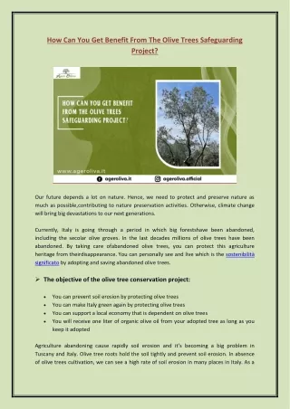 How Can You Get Benefit From The Olive Trees Safeguarding Project