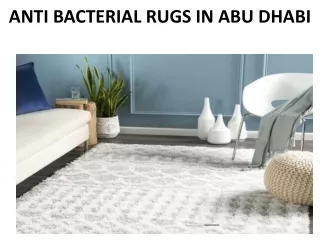 anti bacterial rugs in abu dhabi