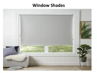 window shades