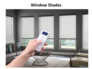 window shades