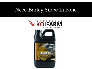 Need Barley Straw In Pond