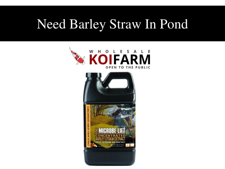 need barley straw in pond