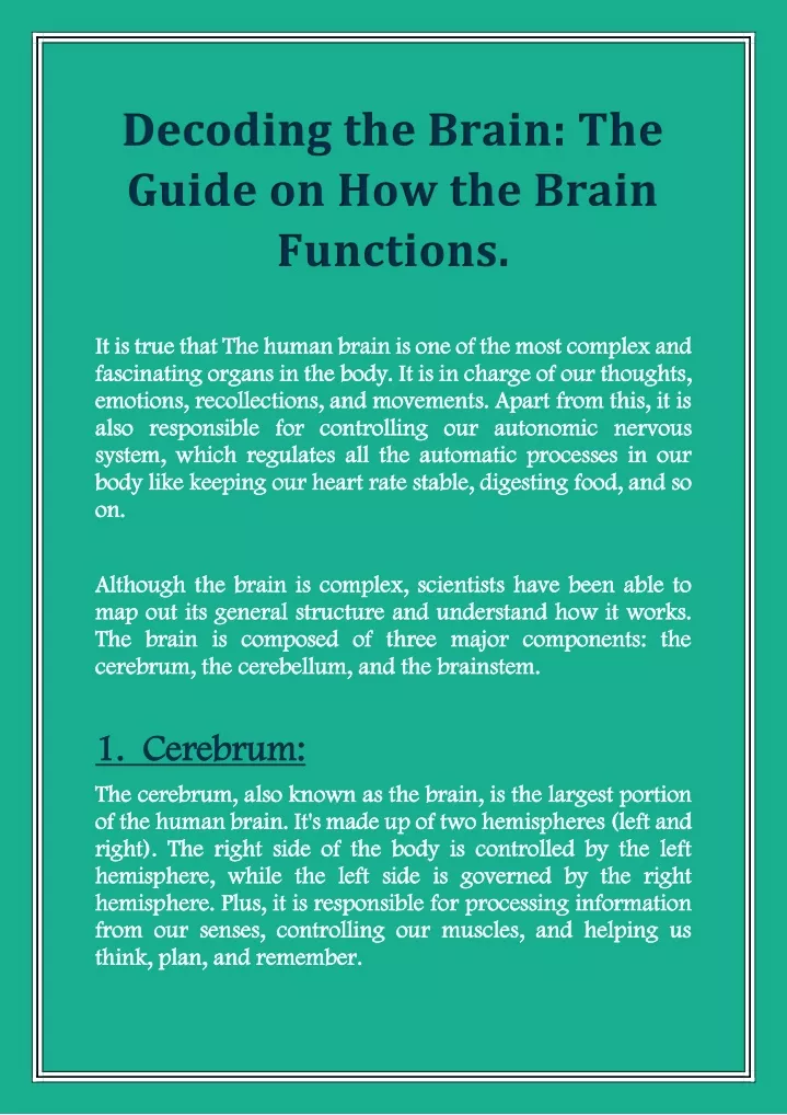 decoding the brain the guide on how the brain