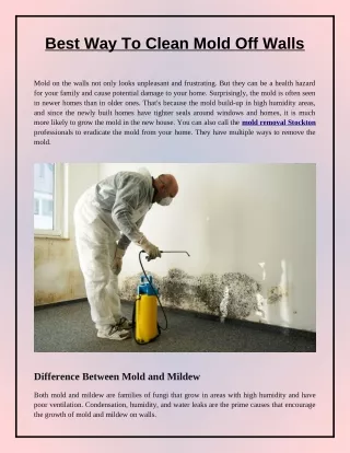 Tips To Clean Mold Off Home Walls
