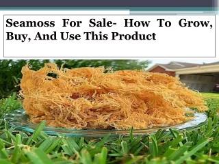 Seamoss For Sale- How To Grow, Buy, And Use This Product