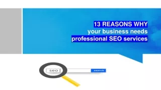 Professional SEO Services- Why your business needs it