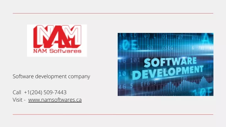 software development company