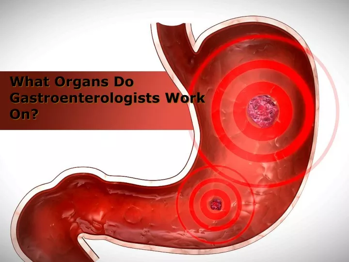 what organs do gastroenterologists work on