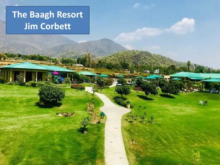 the baagh resort jim corbett