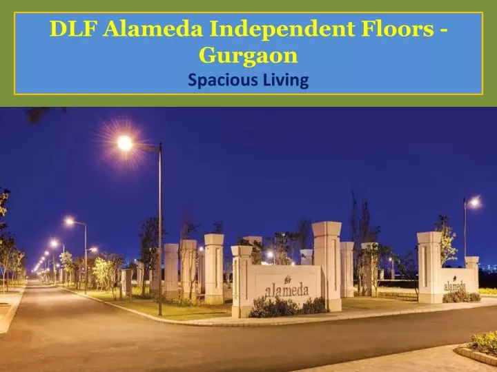 dlf alameda independent floors gurgaon spacious
