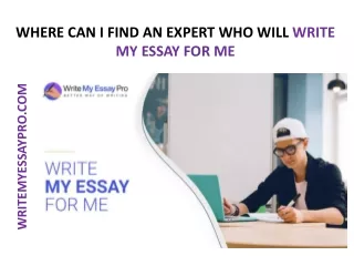 where can i find an expert who will write my essay for me