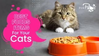 Best Foods Items For Your Cats