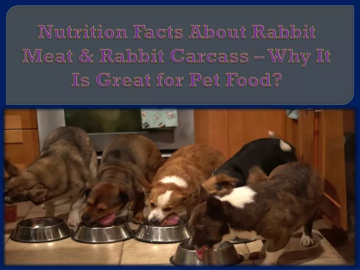 nutrition facts about rabbit meat rabbit carcass why it is great for pet food
