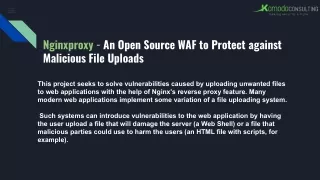 Nginxproxy - An Open Source WAF to Protect against Malicious File Uploads