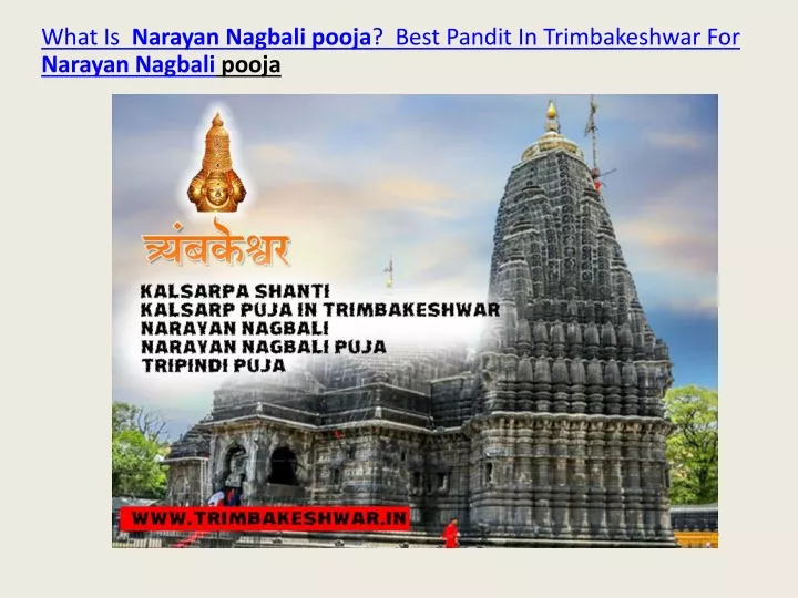 what is narayan nagbali pooja best pandit
