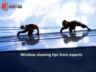 window cleaning tips from experts