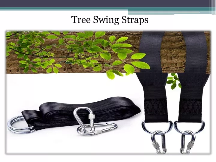 tree swing straps