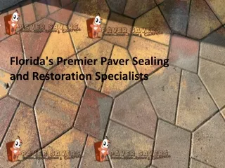 Florida's Premier Paver Sealing and Restoration Specialists