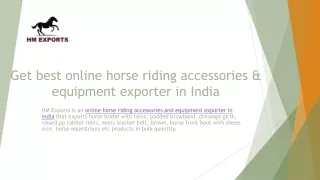 Online Horse riding accessories & equipment exporter in India