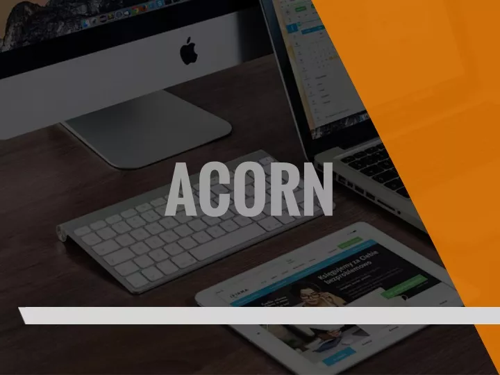 acorn