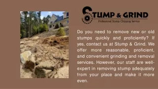 Hire Specialist For Stump Removal Services In Maine