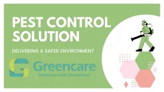 Get The Best Pest Control Service In Singapore
