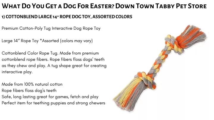 what do you get a dog for easter down town tabby