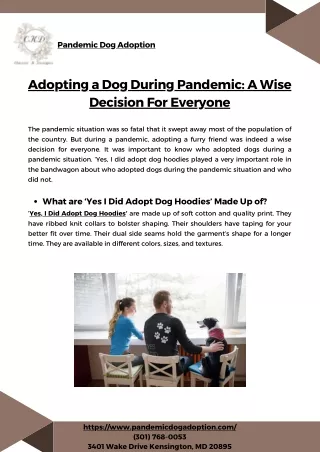 Adopting a Dog During Pandemic A Wise Decision For Everyone