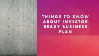 Investor Ready Business Plan - Mikel Consulting