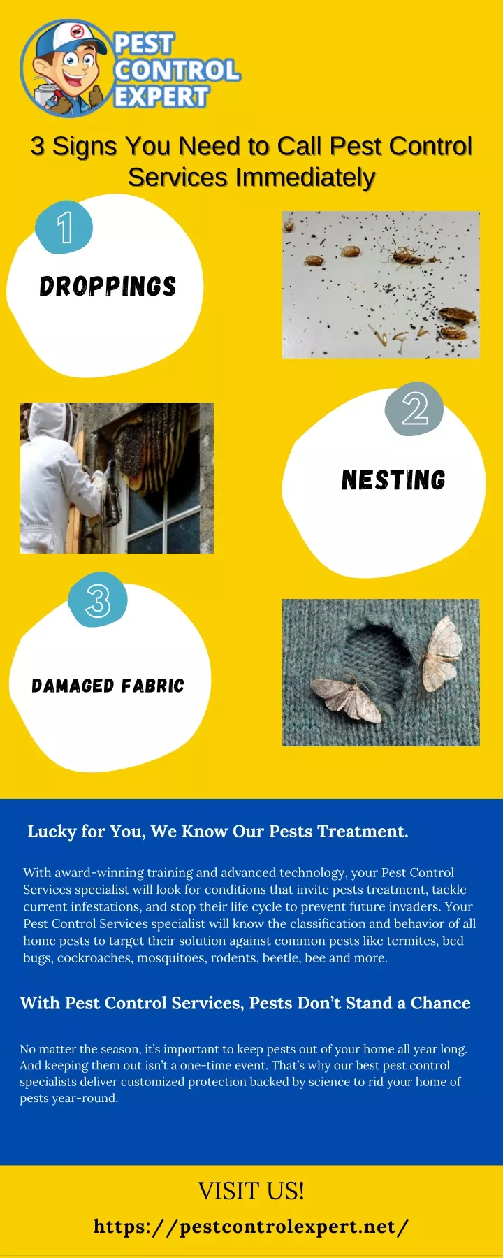 3 signs you need to call pest control 3 signs