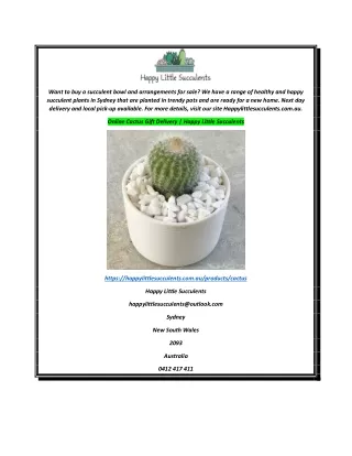 Online Cactus Gift Delivery  Happy Little Succulents